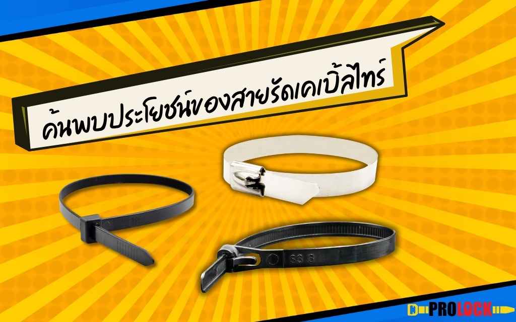 ค้นพบประโยชน์ของสายรัดเคเบิ้ลไทร์ (1)